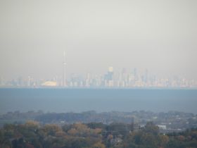 550.JPG